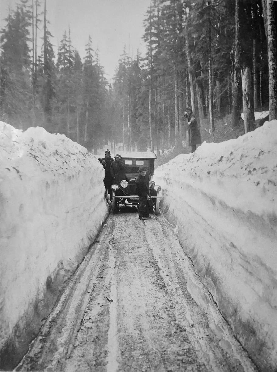 grayscale photo, vehicle, snow, daytime, washington, blizzard, winter, ice, forest, trees