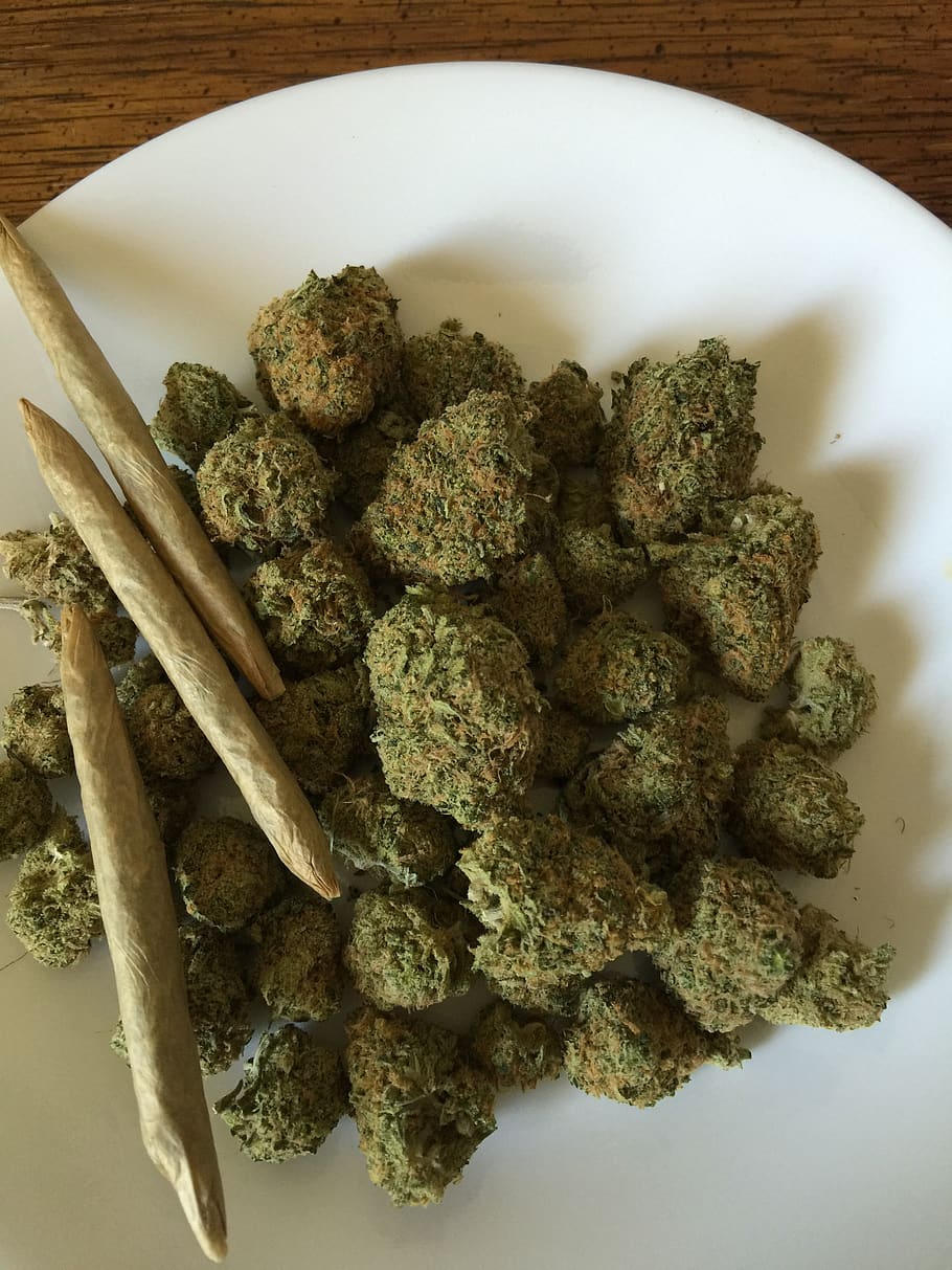 cannabis, marijuana, weed, drug, hemp, medicine, plant, medical, narcotic, pot