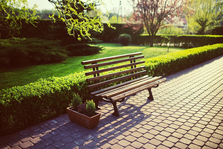 empty, brown, wooden, bench, concrete, pathway, garden, green, grass, spring