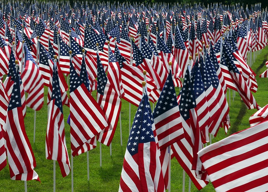 usa national flags, american flags, cemetery, graves, veterans, remembrance, graveyard, soldiers, remember, sacrifice