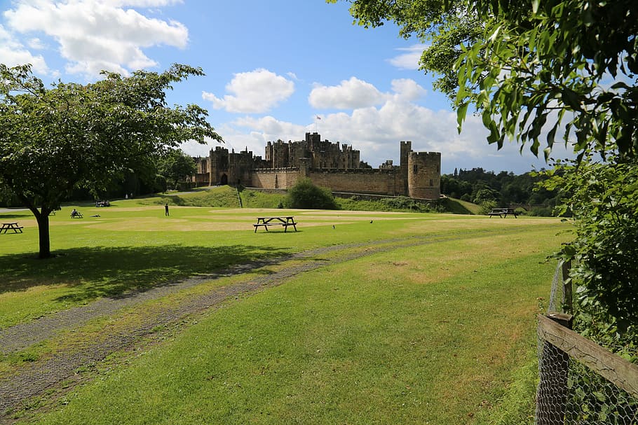 Castelo de Alnwick, Inglaterra, castelo, alnwick, northumberland, harry potter, antiga, cor verde, grama, árvore