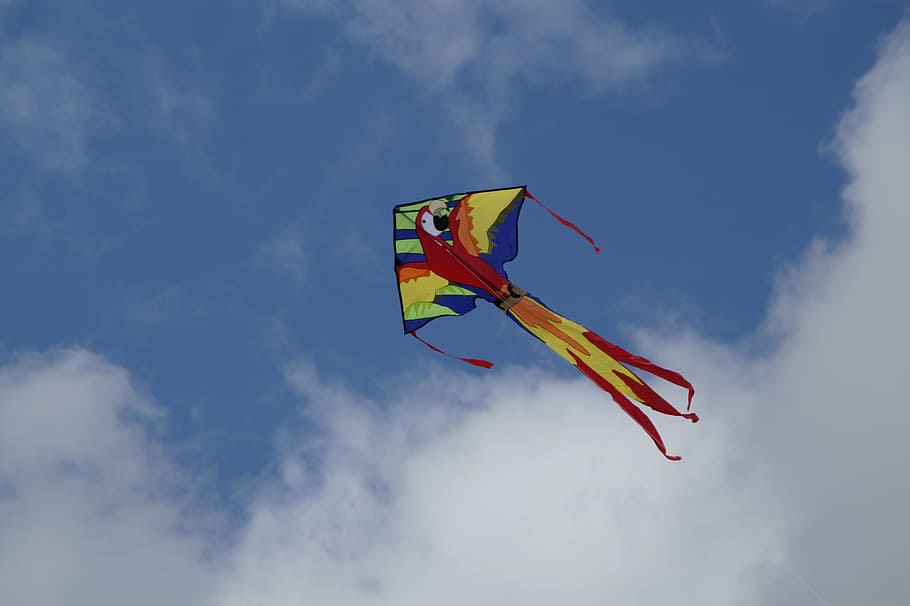 dragons, toys, fly, sky, colorful, blue, kites rise, autumn, wind, windy