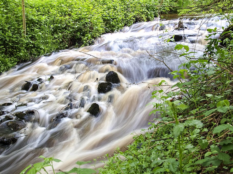 bach, water, landscape, nature, waterfall, stream, river, forest, outdoors, tree