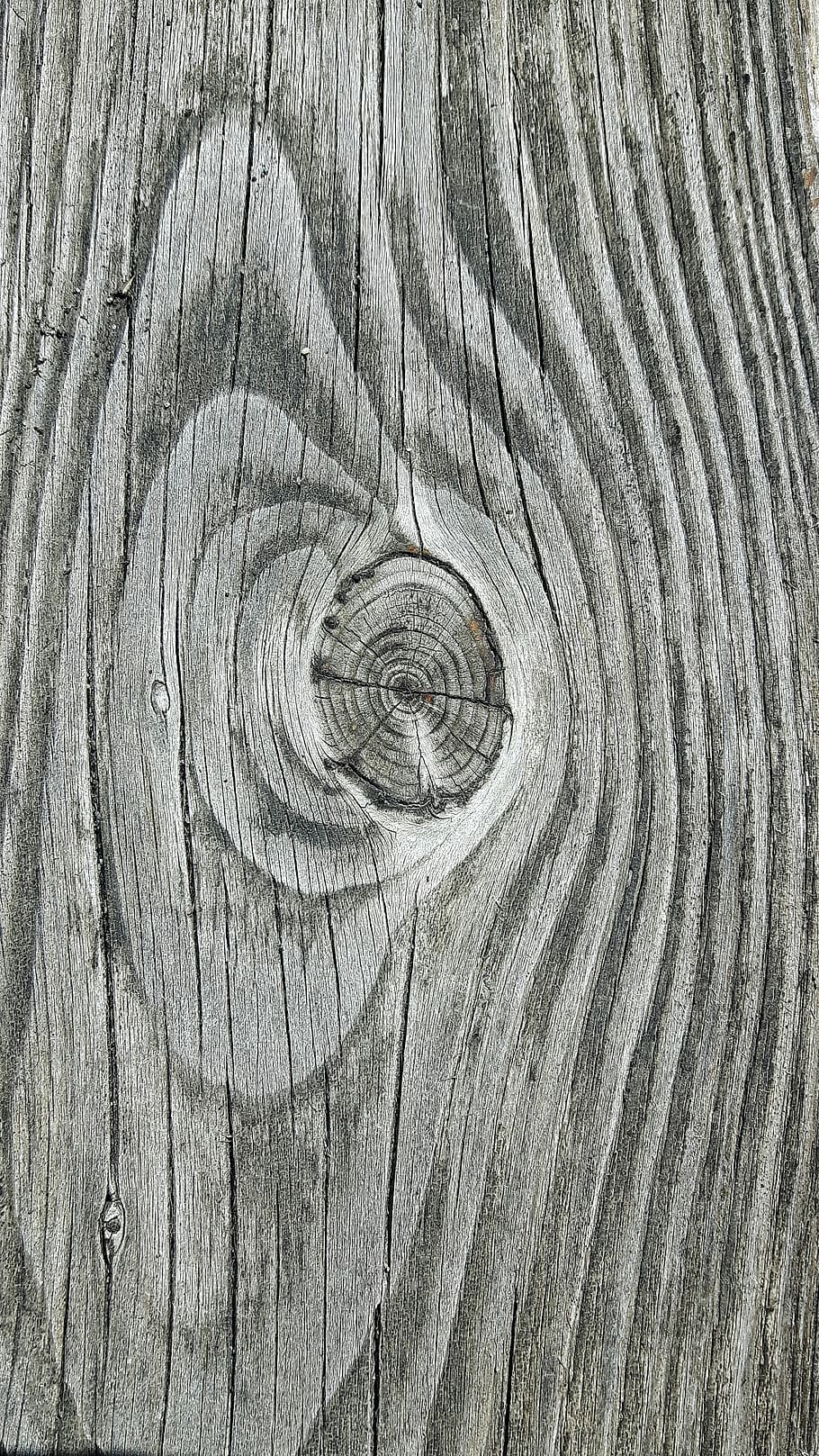 wood, node, texture, plant, door, old, wood - material, textured, tree, full frame