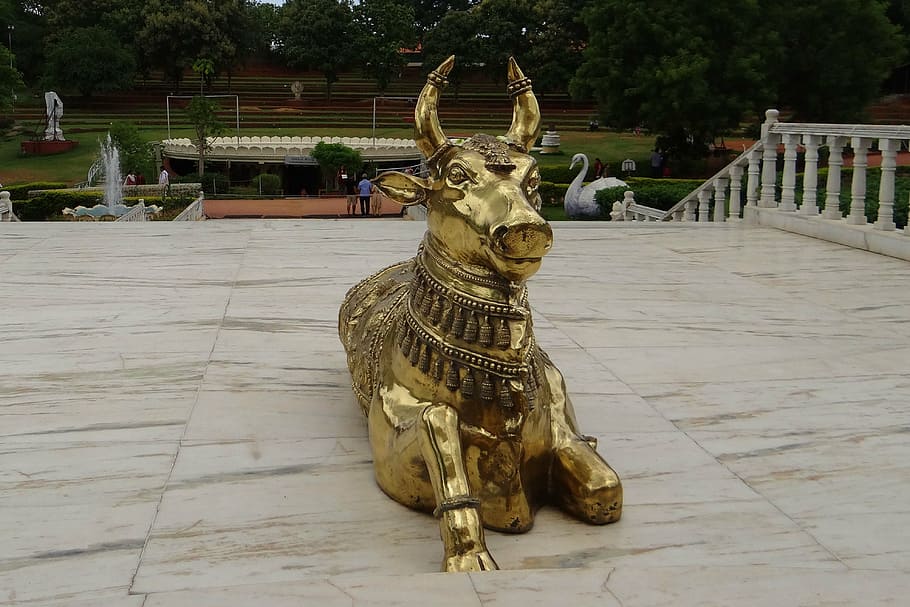 bull, brasswork, nandi, celestial carrier, temple, india, art and craft, sculpture, representation, statue