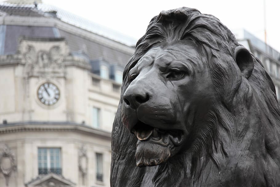 black, lion statue, besides, white, building, clock, Animal, Architecture, Britain, Bronze, animal