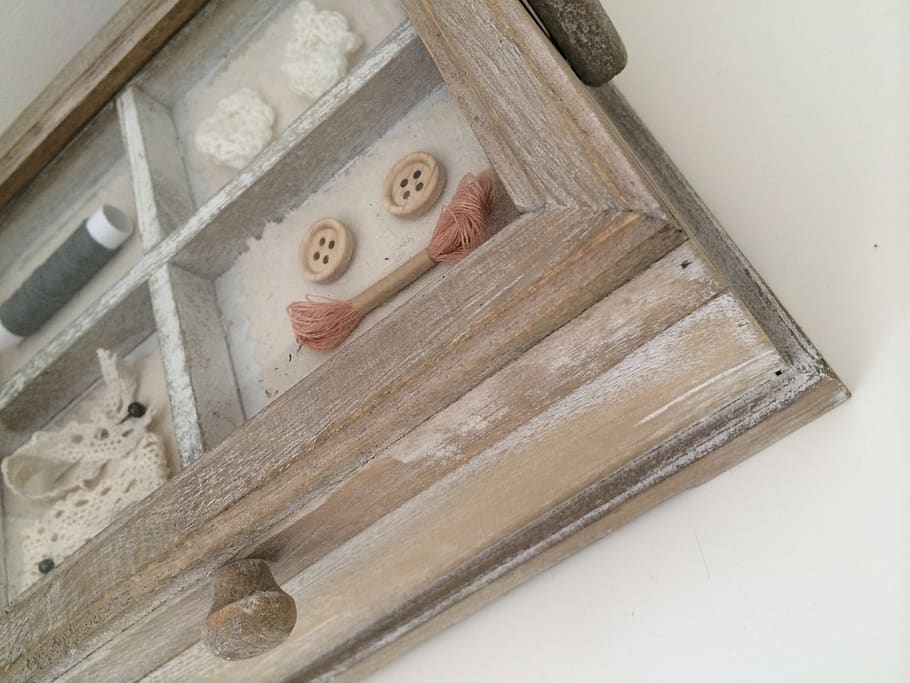 cupboard, kitchen, buttons, animal themes, animal, mammal, one animal, pets, domestic, indoors
