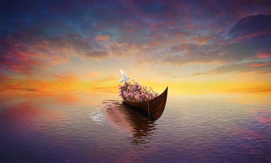 pink, petaled flower, brown, canoe boat, flower, canoe, boat, unreal, ship, marine