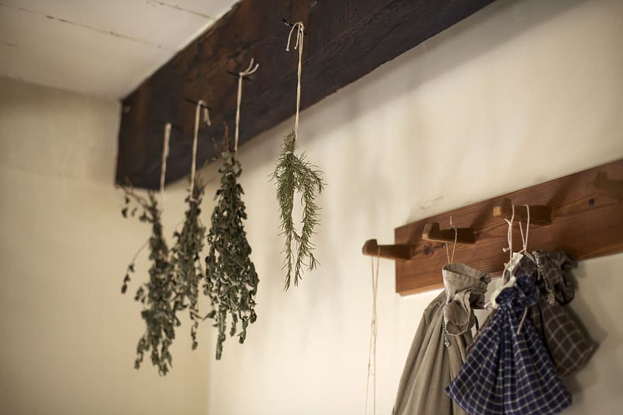 green, leaf, hanging, brown, black, wall hooks, inside, room, herbs, drying