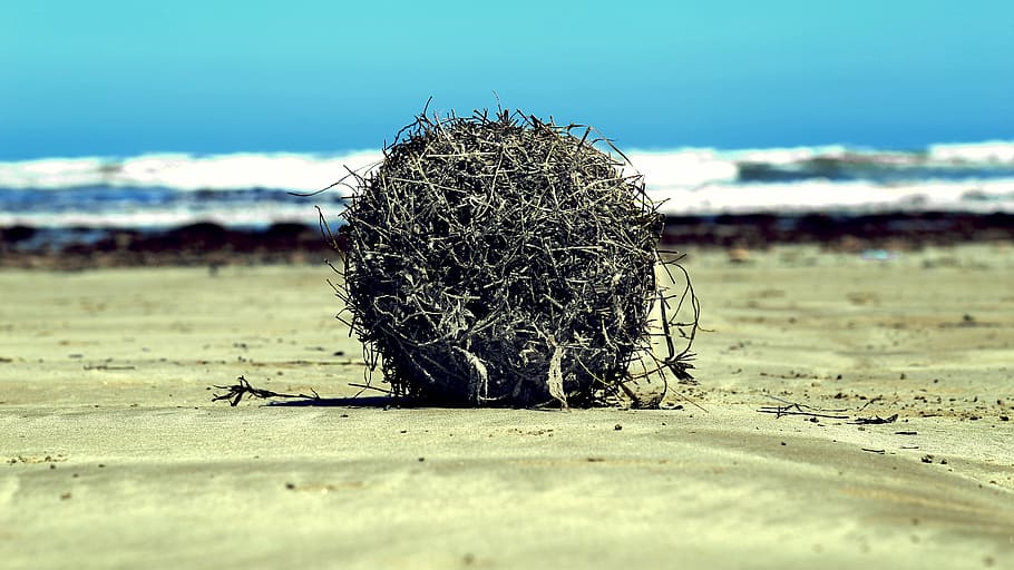 selective, focus photography, haystack, shore, round, grey, component, beach, sand, sunshine