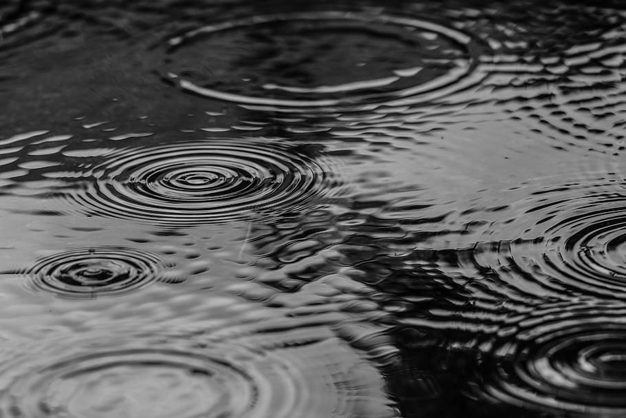 グレースケール写真, 水, 水滴, 水たまり, 雨, 自然, 波紋, 背景, フルフレーム, サークル
