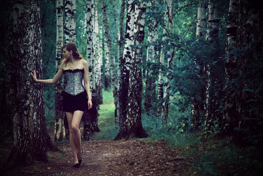the girl and the birch, corset, a walk in the birch forest, long legs, tree, forest, land, one person, plant, young adult