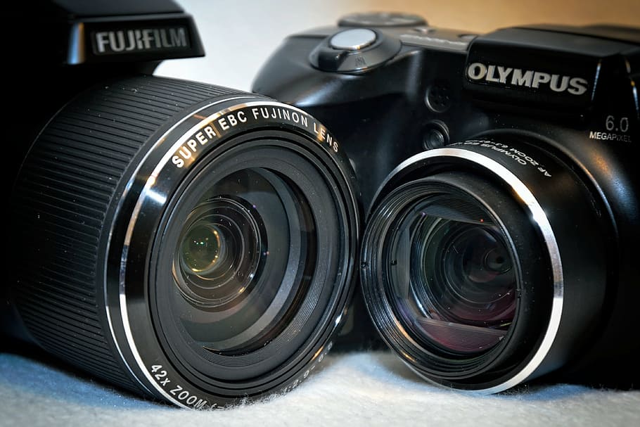 fujifilm, olympus bridge cameras, cameras, lenses, detail, zoom, bird olympus, optics, glass, hobby