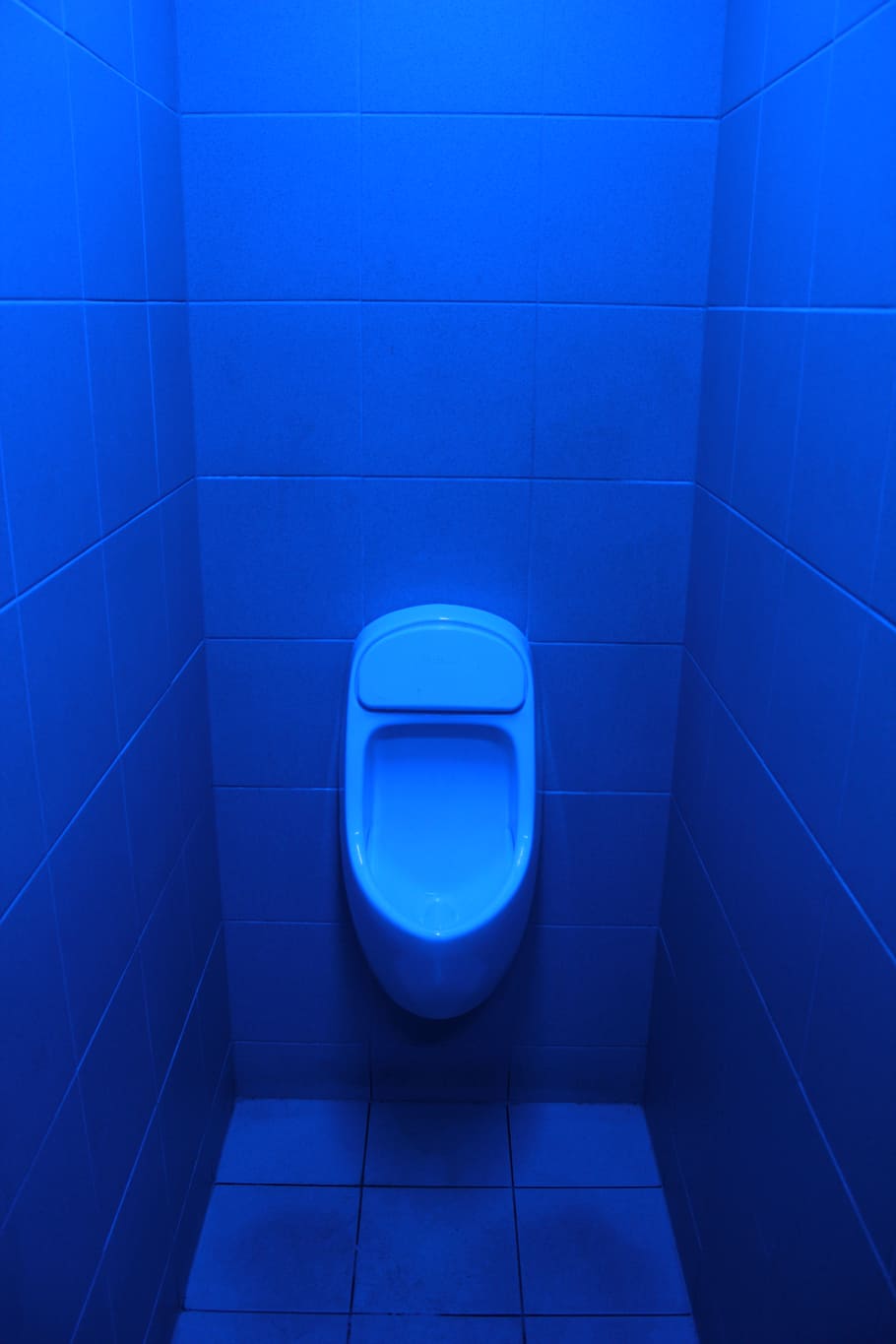 Azul, urinario, rodeado, embaldosado, pared, baño, inodoro, baldosas, higiene, interiores