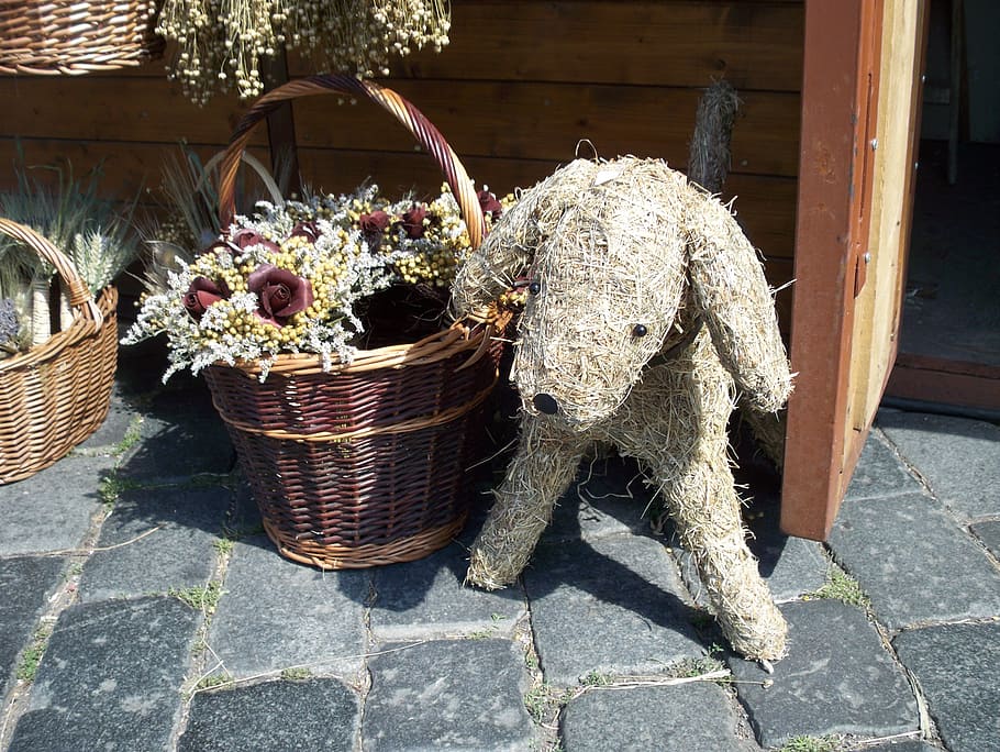 dog, basket, straw dog, pavers, cultures, container, day, nature, wicker, plant