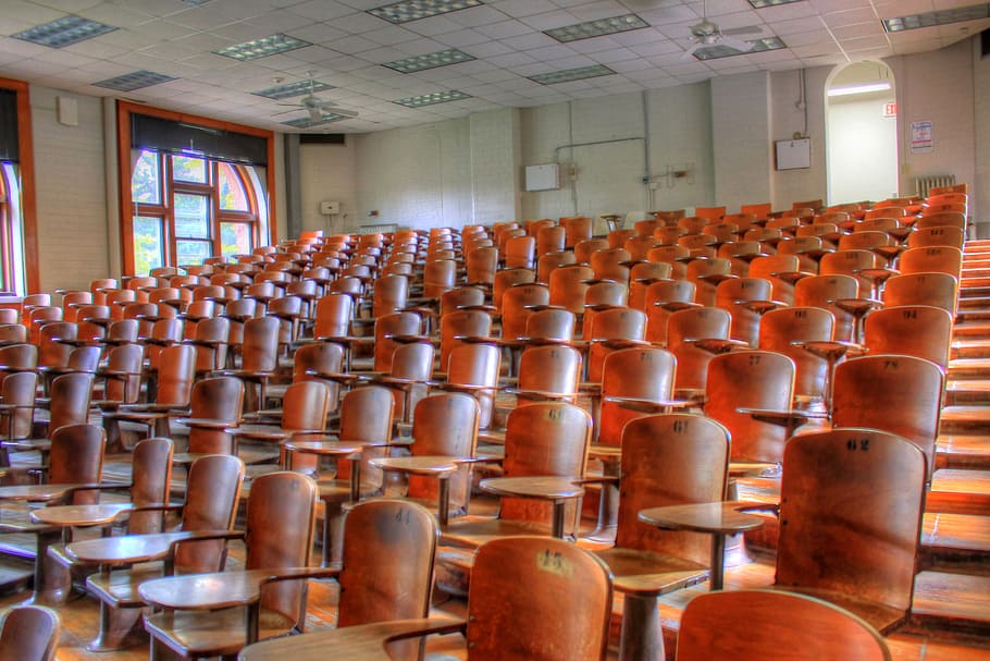 brown, wooden, armchairs, daytime, lecture hall, auditorium, seats, chairs, room, hall