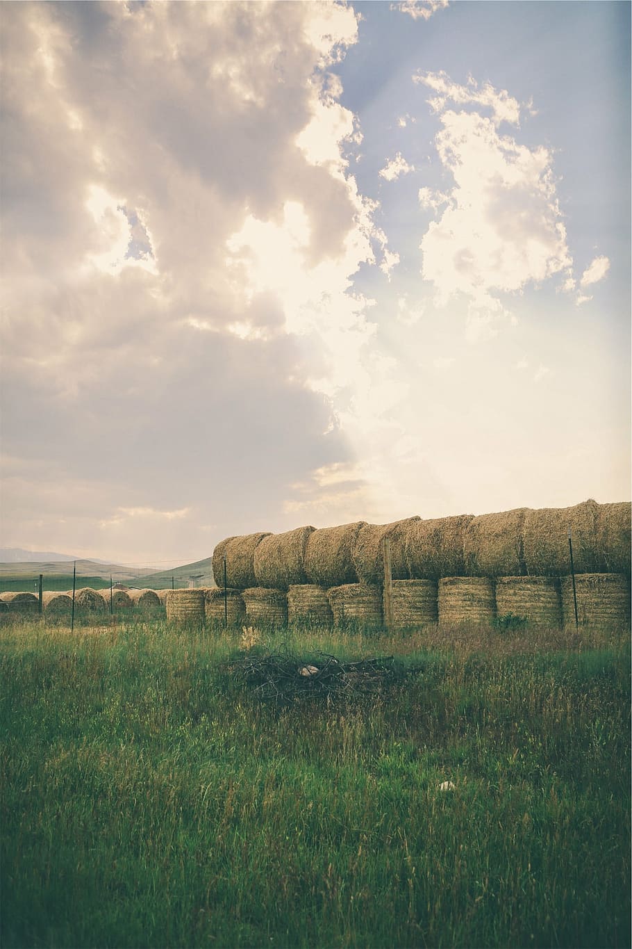 hay, bales, grass, farm, fields, rural, country, sky, cloud - sky, land