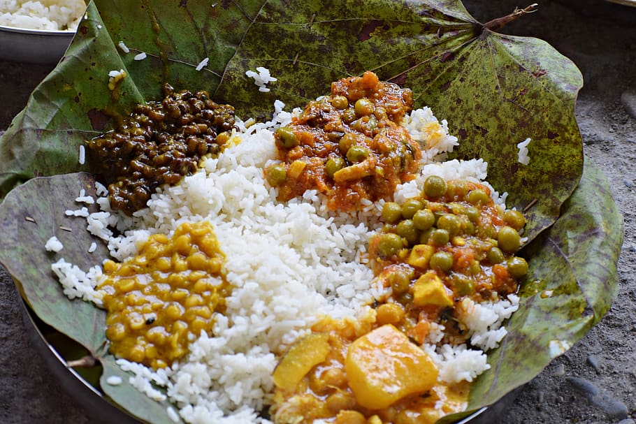 comida, tradicional, indiano, cozinha, caseiro, fresco, cozinhar, delicioso, chef, refeição