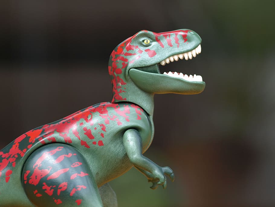 close, gray, red, dinosaur action figure, dino, dinosaur, t rex, tyrannosaurus rex, playmobil, toys