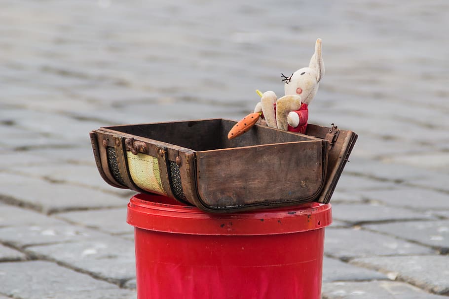 Piggybank, Wooden Box, Mascot, box, the mascot, collection, bunny, outdoors, day, sea