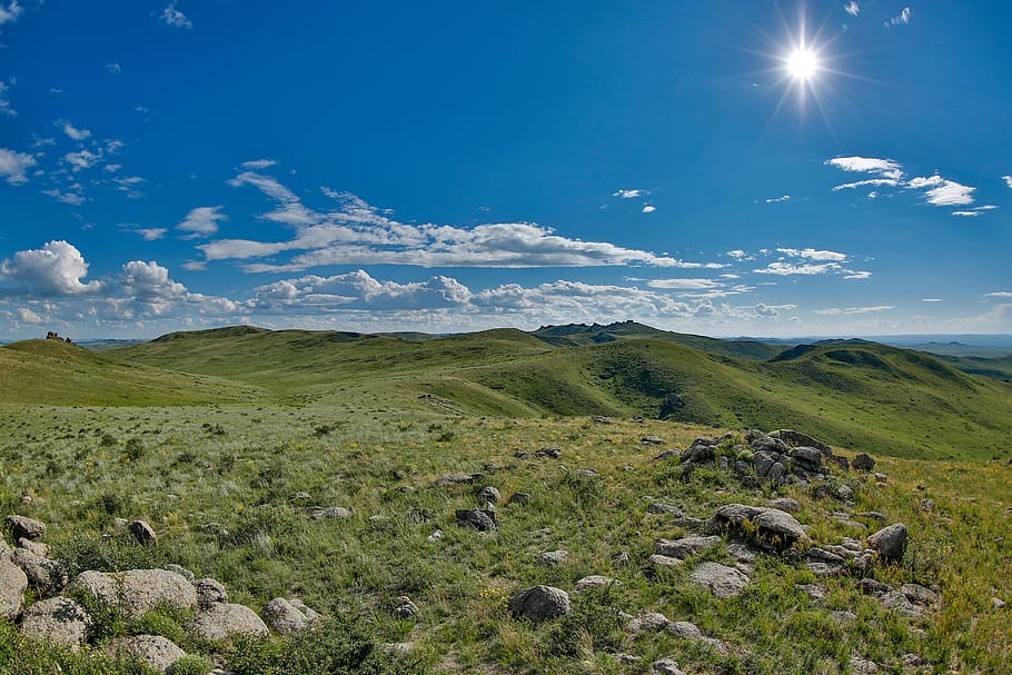 landscape, khar yamaat mountain, nature reserve, meadow, step, mongolia eastern, beauty in nature, environment, sky, scenics - nature