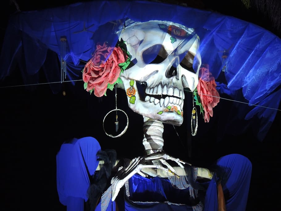 catrina, mexico, day of the dead, halloween, celebration, dead, life, skeleton, skull, sugar skull
