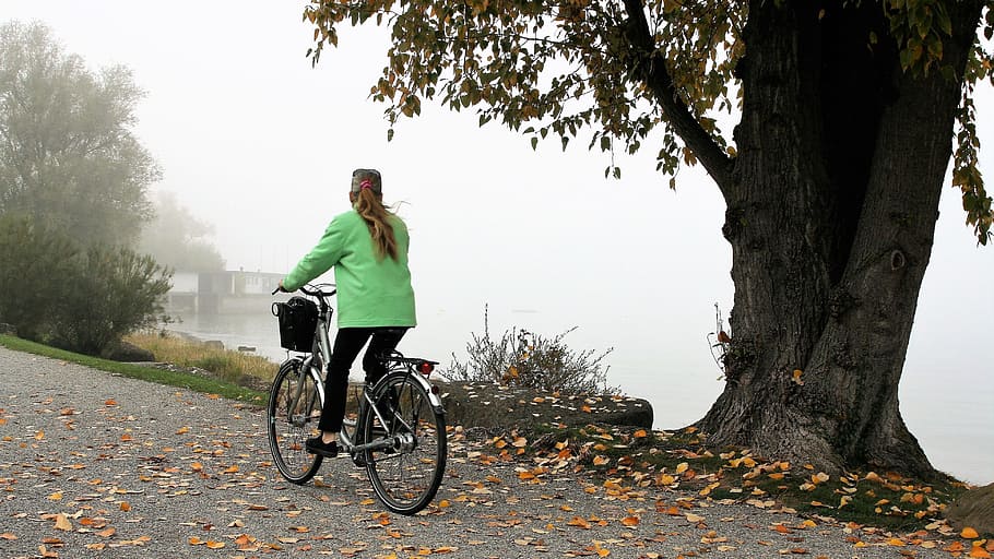 foliage, beach, lake, bike, haze, bodensee, relax, colors of autumn, landscape, bicycle