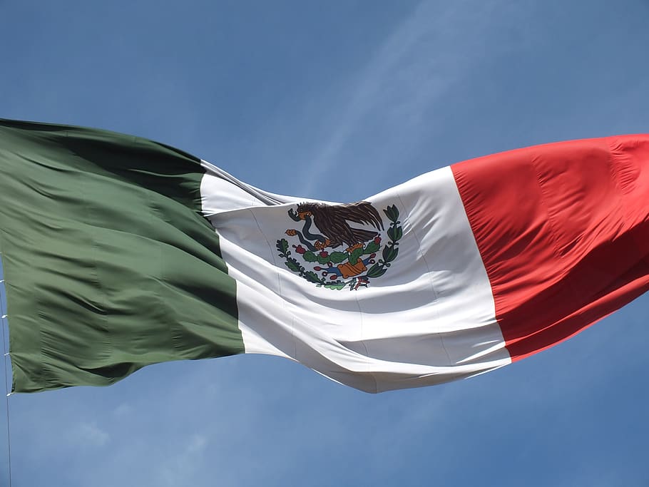 México, bandera, bandera mexicana, escudo de armas, cielo, vista de ángulo bajo, naturaleza, día, azul, patriotismo