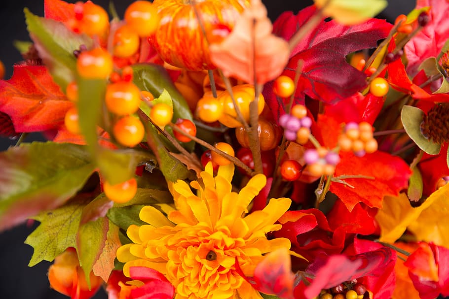 close-up photo, orange, dahlia flowers, yellow, berries, fall flowers, thanksgiving flowers, fall, thanksgiving, season