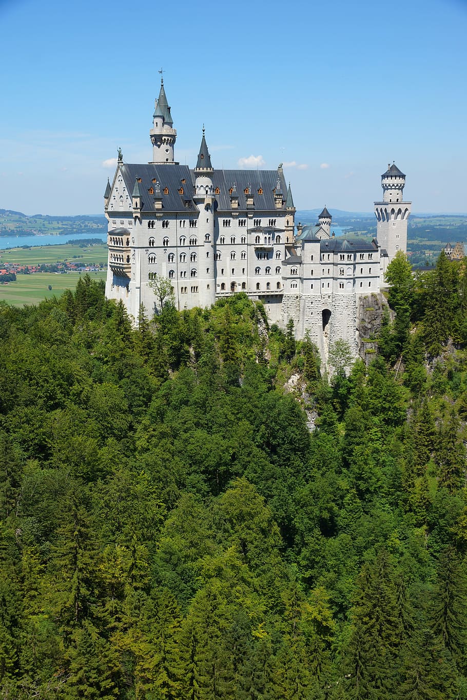Castillo, bosque, Alemania, Füssen, Kristin, King Ludwig, arquitectura, lugar famoso, al aire libre, historia