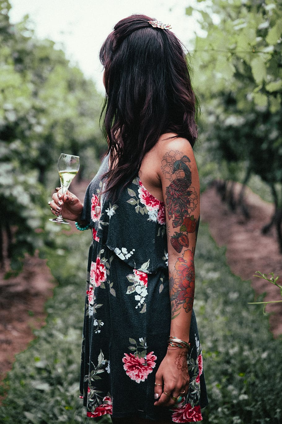 woman, wine, vineyard, female, lady, person, nature, outdoors, plants, vegetation