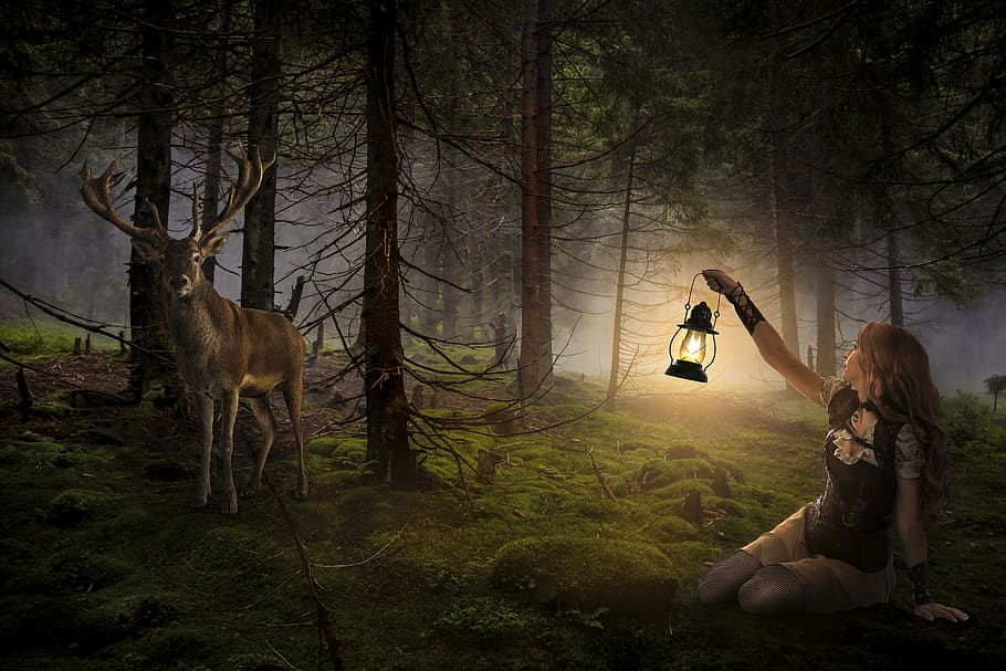 forest, lamp, stag, girl, dark, woods, light, tree, fantasy, nature