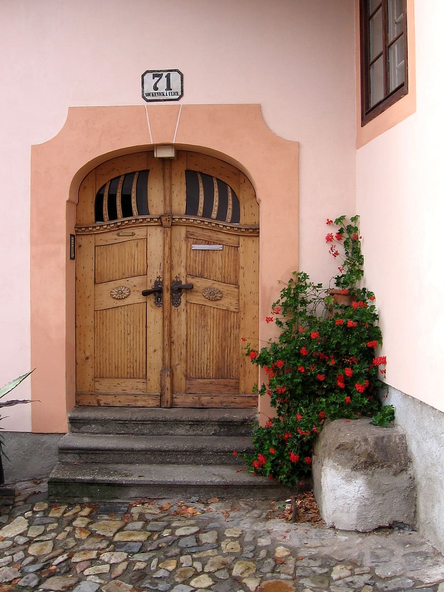 ドア, ゴール, 家の入り口, 古いドア, 木, 正面玄関, 入力, ゲート, 城, 古い