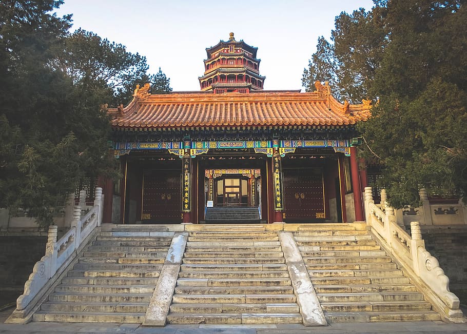 pagoda, rodeado, árboles, templo, asia, religión, arquitectura, viajes, cultura, antigua