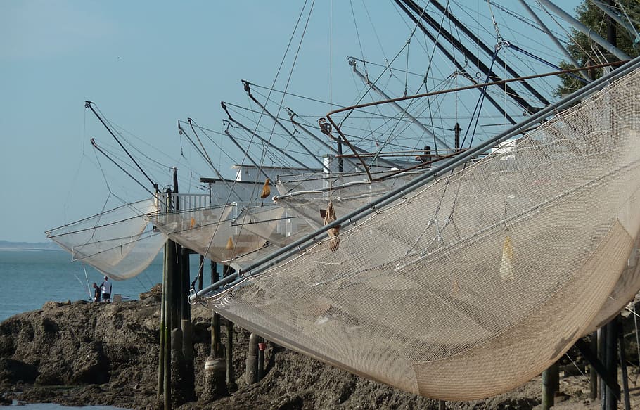 fishing, plaice, netting, gironde, nautical vessel, water, sea, transportation, mode of transportation, fishing net