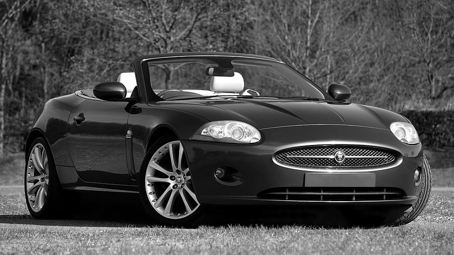 fotografia em escala de cinza, jaguar, conversível, jaguar xk, carro, velocidade, poder, veículo, automóvel, transporte