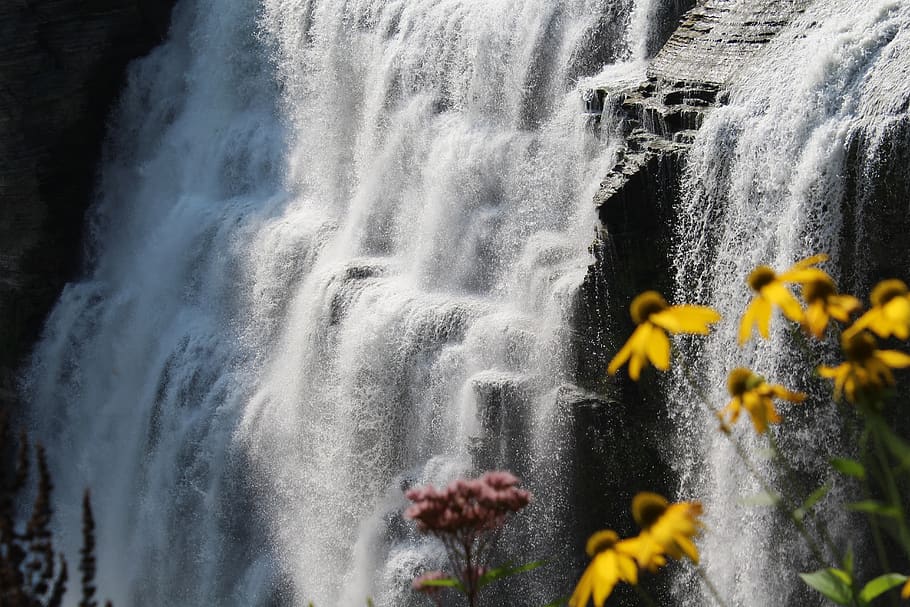 cascada, naturaleza, flores, paisaje, río, movimiento, belleza en la  naturaleza, agua, día, flor | Pxfuel