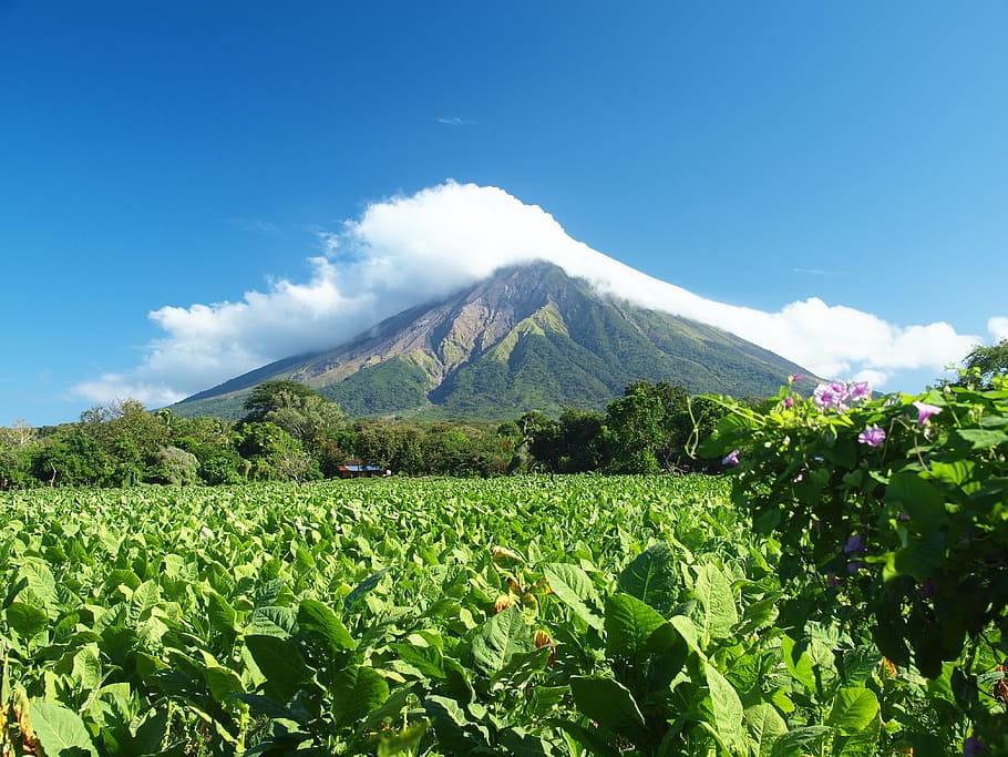 verde, montanhas, cobertura, nuvens, vulcão, nicarágua, tabaco, montanha, agricultura, azul