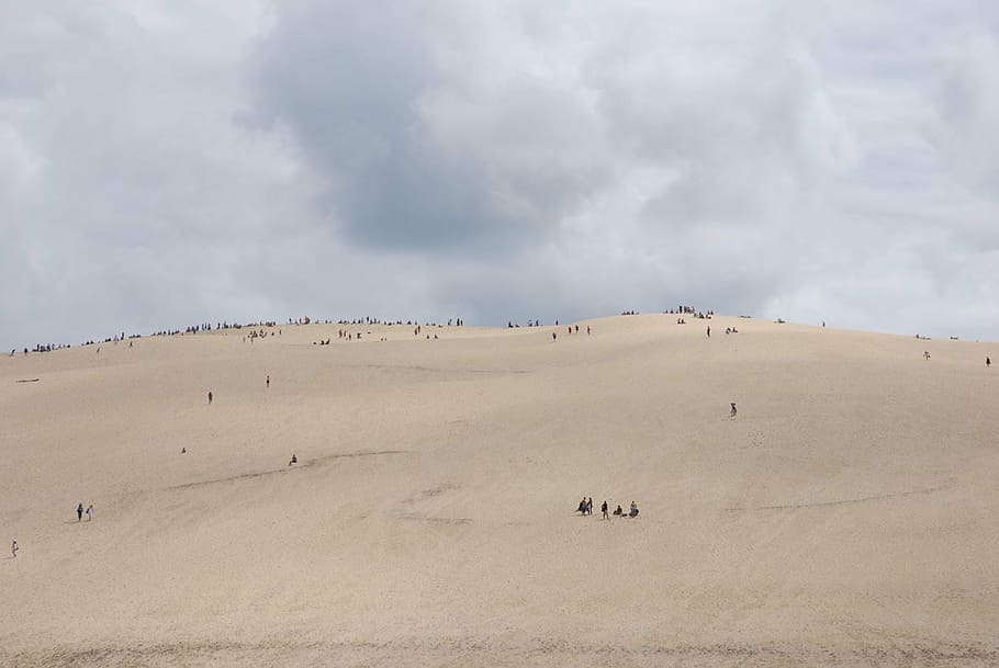 dune, sand, france, dune du pilat, nature, desert, animal, cloud - sky, sky, scenics - nature