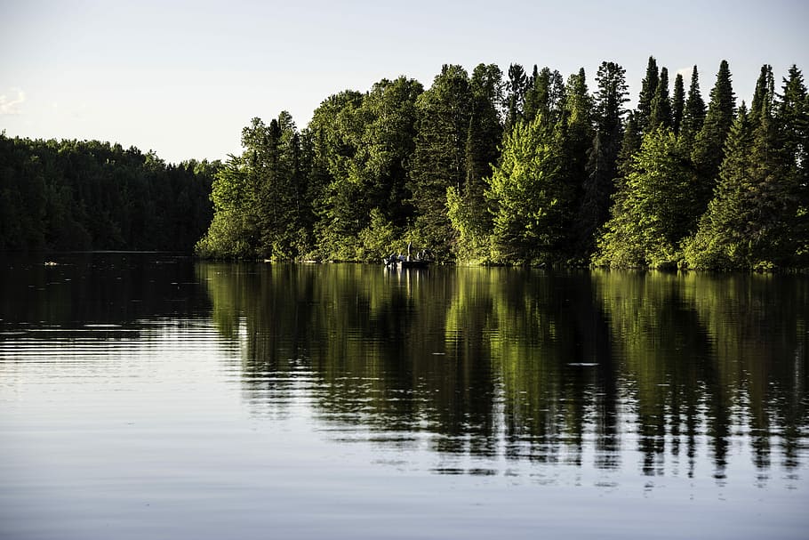 Day Lake, Chequamegon, nacional, bosque, Wisconsin, barco de pesca, día, lago, Chequamegon National Forest, barco