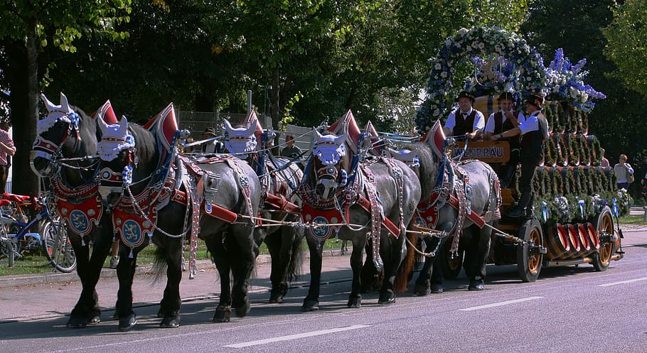 people riding carriage, munich, germany, oktoberfest, festival, famous, landmark, beer, horses, men