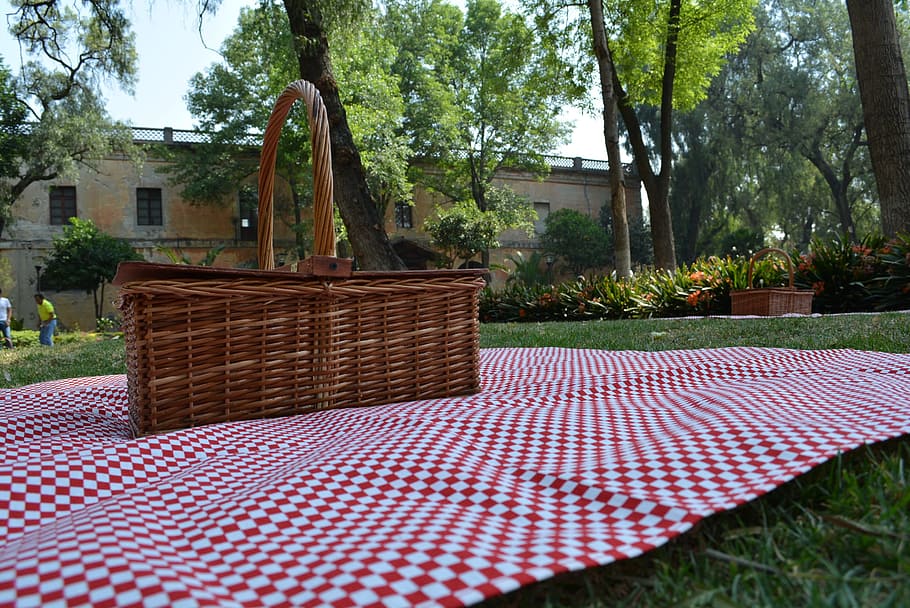 pic-nic, field day, basket, food basket, plant, tree, day, built structure, architecture, nature