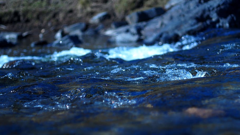 river, spring, water, nature, selective focus, motion, day, close-up, flowing water, solid