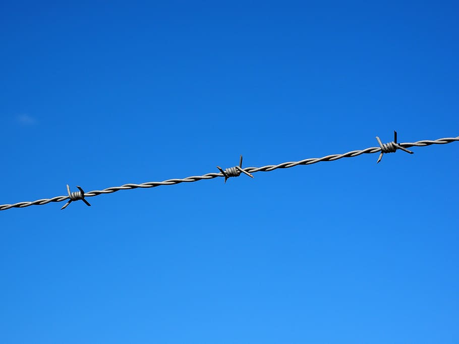 closeup, photography, bulb wire, barbed wire, wire, fenced, metal, fence, security, thorn