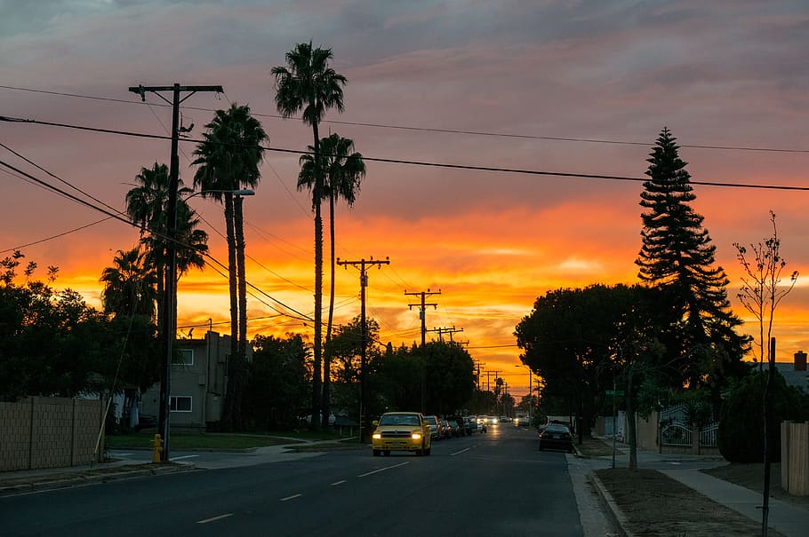 車, 移動, 道路, 日没, 通り, ロサンゼルス, カリフォルニア, カリ, ヤシの木, トラフィック