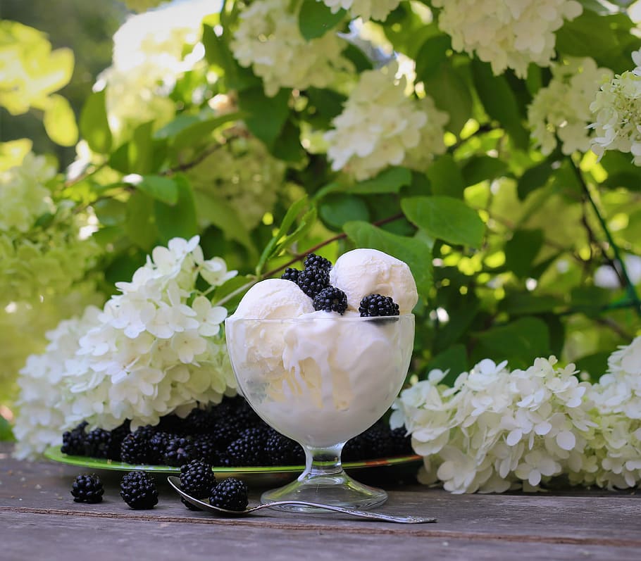 ice cream, round footed glass, white, petaled flowers, daytime, food, plate, sweet, dessert, fruit
