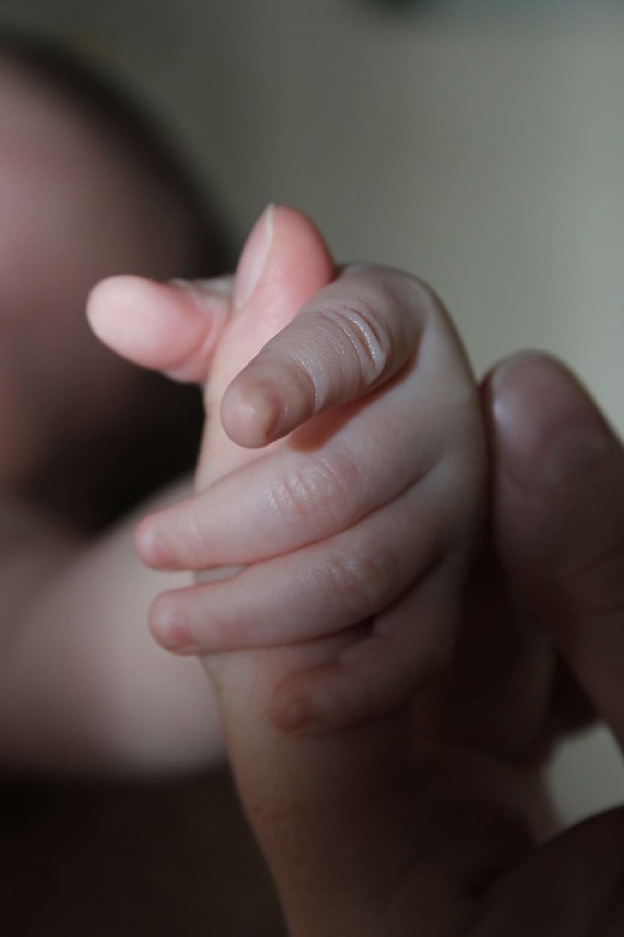 baby, holding, person, hand, newborn, child, kid, mother, family, parent
