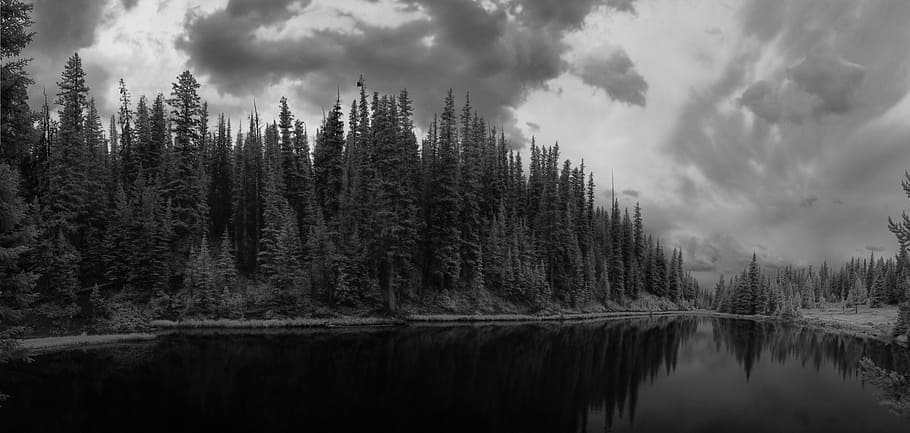 infrared, black and white, landscape, pure, clean, forest, outdoors, serene, fishing, tranquil