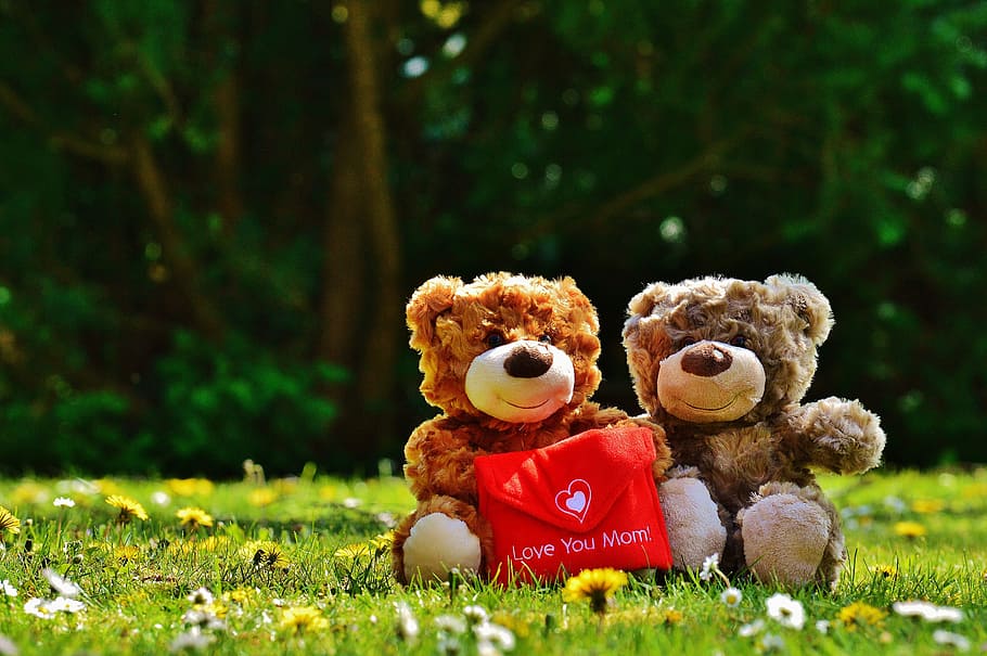 selective, focus photography, brown, teddy, bears, green, grass, mother's day, love, mama