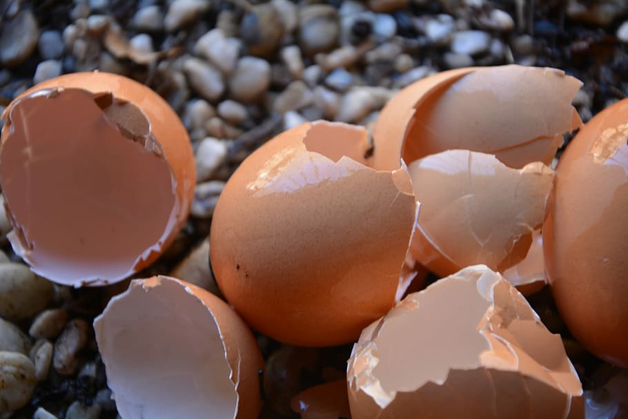 Egg Shells, Broken, Calcium, egg, eggshell, cracked, brown, close-up, food and drink, shell